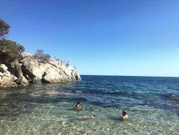 Birds swimming in sea against clear blue sky