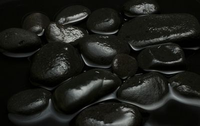 Close-up of food on table