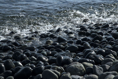Scenic view of sea shore