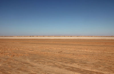 Surface level view of beach against blue sky