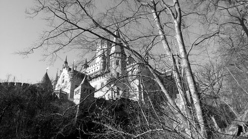 Low angle view of bare trees and building against sky