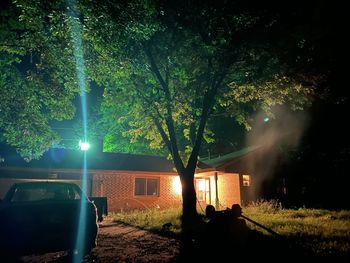 Sunlight streaming through trees at night