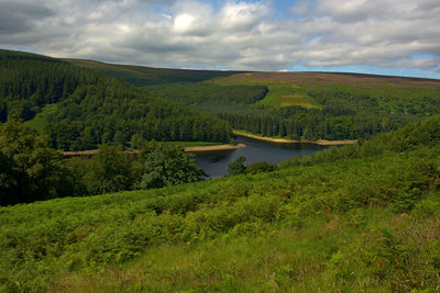 Scenic view of lake and trees against sky