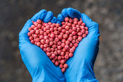 Close-up of a handful in the hands in the form of a heart etched soybean seeds