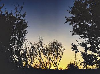 Low angle view of silhouette trees against clear sky