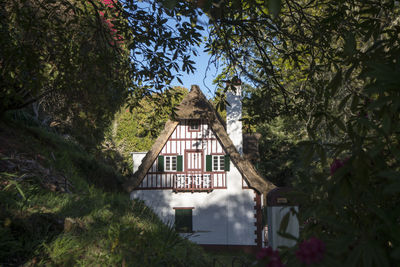 Houses in a garden