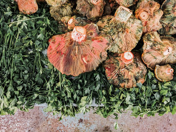 High angle view of mushrooms and herbs on a market stall