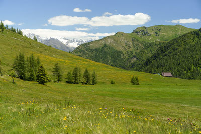 Scenic view of field against sky