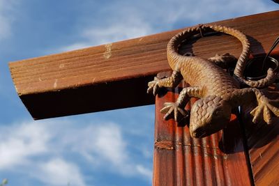 Low angle view of lizard on wood against sky