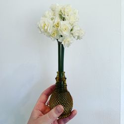 Close-up of hand holding flowers in vase against white wall