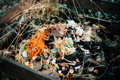 High angle view of compost heap