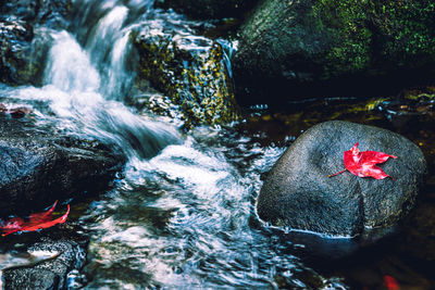 Scenic view of waterfall