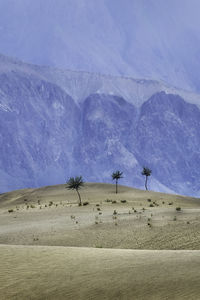 Scenic view of desert against sky