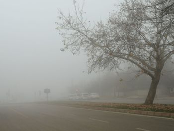 Road by trees against sky during winter