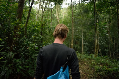 Rear view of a man hiking in forest