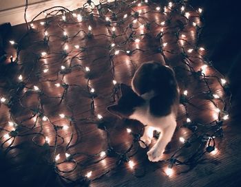 High angle view of christmas lights on floor