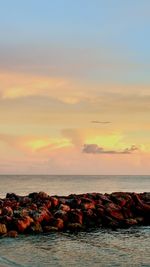 Scenic view of sea at sunset