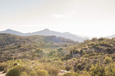 Scenic view of landscape against sky