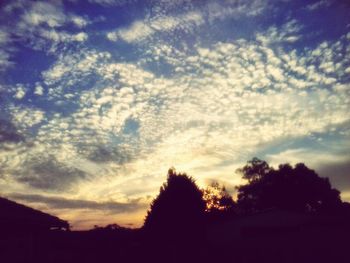 Silhouette of trees against cloudy sky