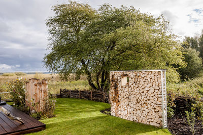 Firewood in garden