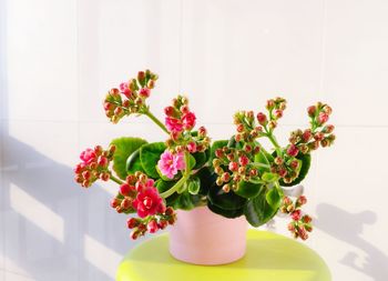Close-up of flower vase on table at home