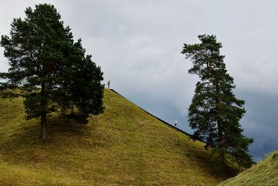 Trees on mountain against cloudy sky