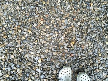 Low section of person standing on pebbles