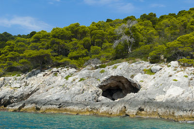 Rock formation amidst trees against sky