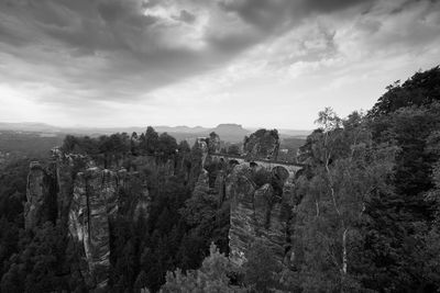 Panoramic view of trees on landscape against sky