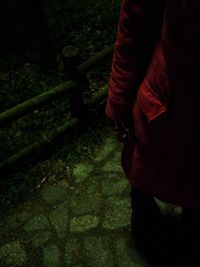 Low section of woman standing on ground