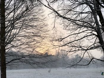 Bare trees on landscape against sky during winter