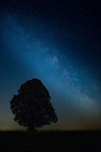 Silhouette trees against sky at night