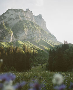 Mountain views while hiking in the swiss alps. shot on medium format kodak portra 400 film.