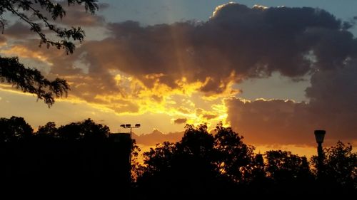 Silhouette trees against sky during sunset