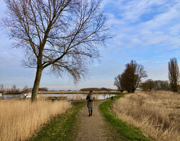 Rear view of woman walking over  rural dirt road towards a lake, a bare tree at left, under blue sky
