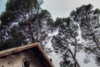 Low angle view of trees and building against sky