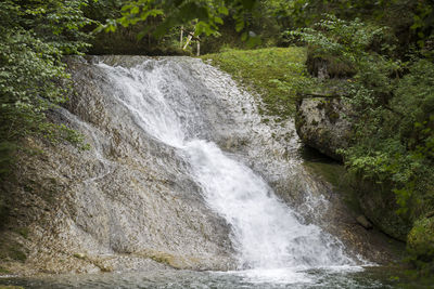 Scenic view of waterfall in forest