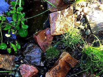 Close-up high angle view of water