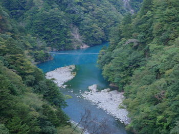 High angle view of river amidst trees in forest