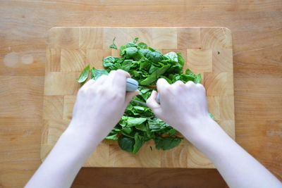 High angle view of person preparing food on cutting board