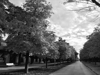 Road amidst trees against sky in city