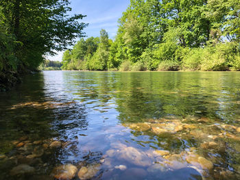 Scenic view of lake in forest against sky