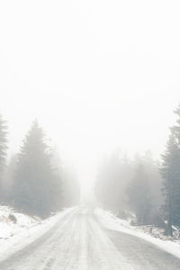 Road amidst trees against sky during winter