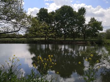 Scenic view of lake by trees against sky