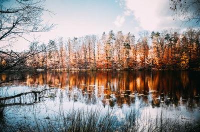 Reflection of trees in lake against sky