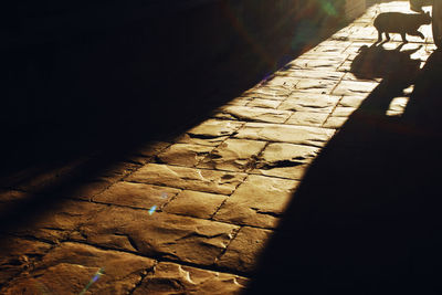 Shadow of people on wall