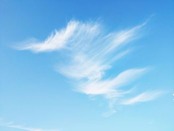 Low angle view of sky