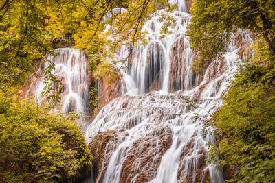 Low angle view of waterfall in forest