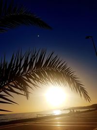 Low angle view of silhouette tree against sea at sunset