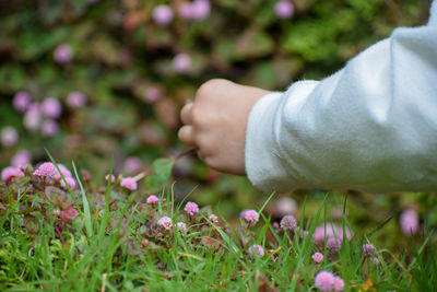 Close-up of purple flowering plants on field